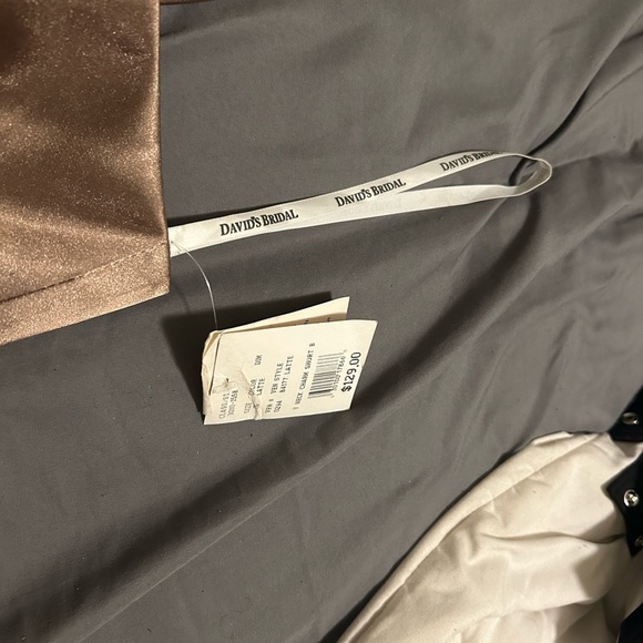 David’s Bridsal Plus Size Bridesmaid Elegant Satin Brown Dress NWT sz 26 - Picture 5 of 10